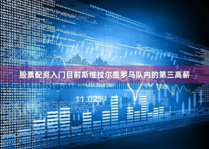 股票配资入门目前斯维拉尔是罗马队内的第三高薪