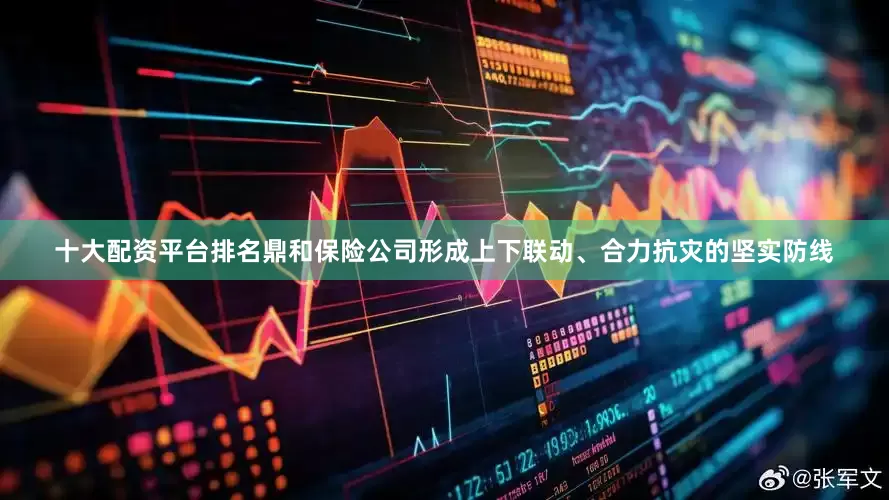 十大配资平台排名鼎和保险公司形成上下联动、合力抗灾的坚实防线